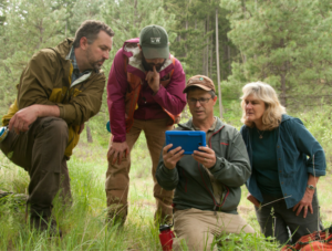Image of four foresters looking at a hand-held device together in the woods
