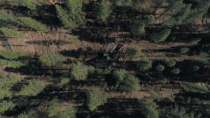 Image of forests from aerial perspective