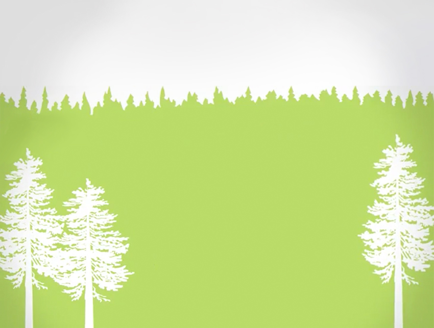 Graphic of white trees and green grass