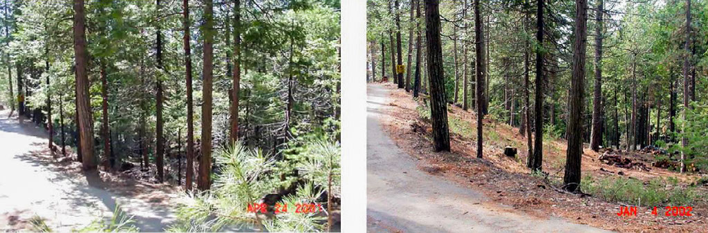 A before and after of a shaded fuel break on the Shasta-Trinity National Forest. Shaded fuel breaks are designed to slow the fire’s spread and give fire crews places to suppress a wildfire. Photo courtesy of the Shasta-Trinity National Forest.