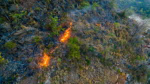 Image of a Wildfire