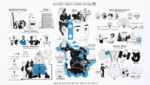 Graphic explaining different outcomes different forests provide to society