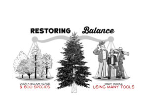 restoring balance for fire solutions