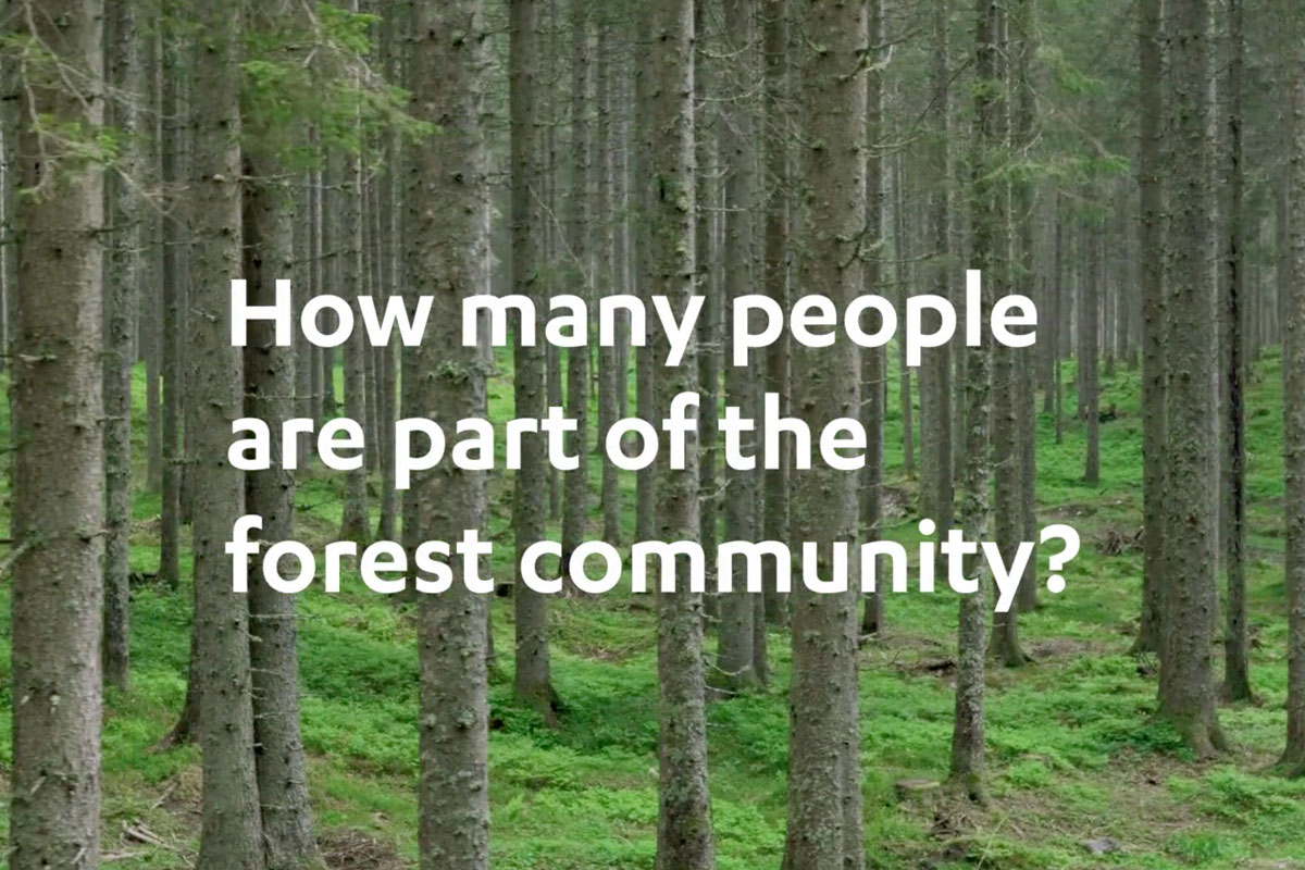 How many people are part of the forest community?