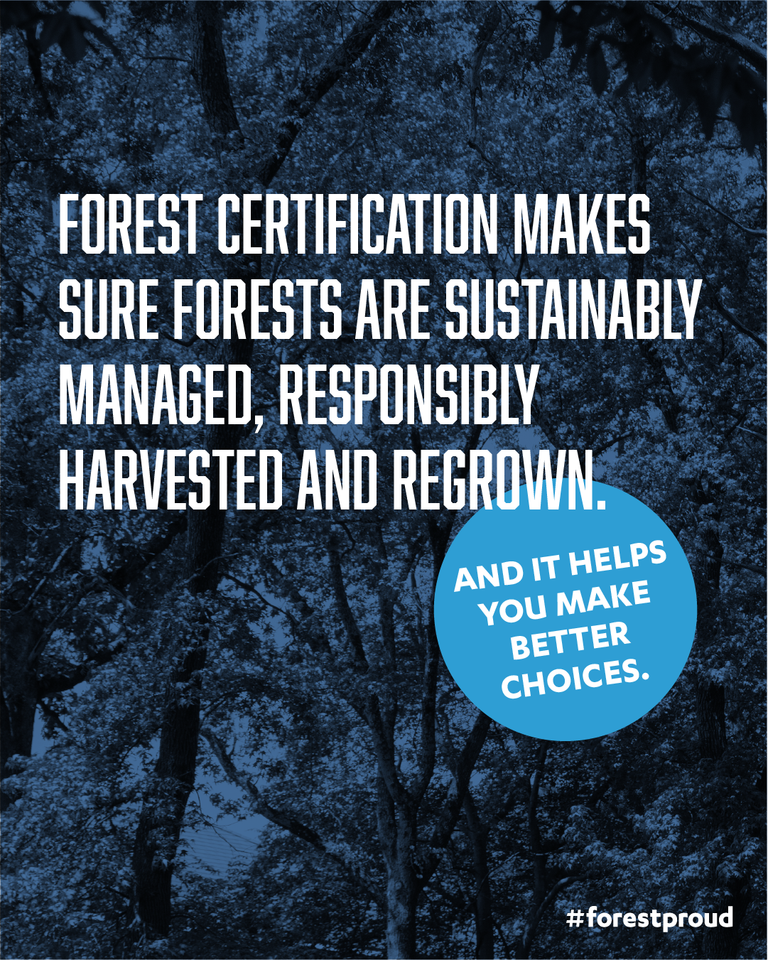 Forest certification helps you make better choices