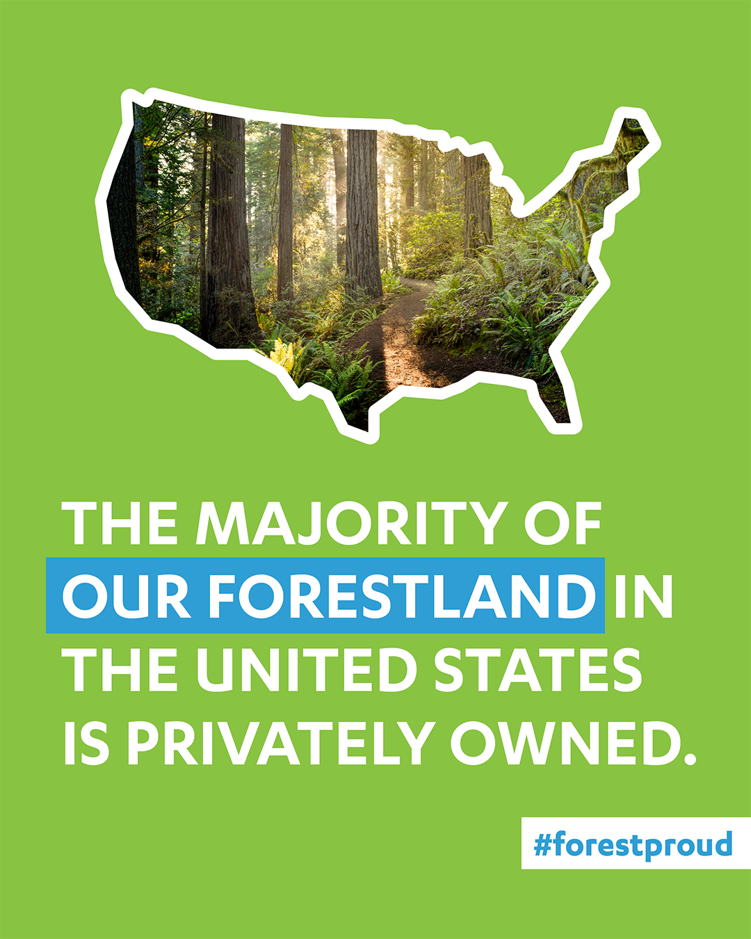 Privately Owned Forests