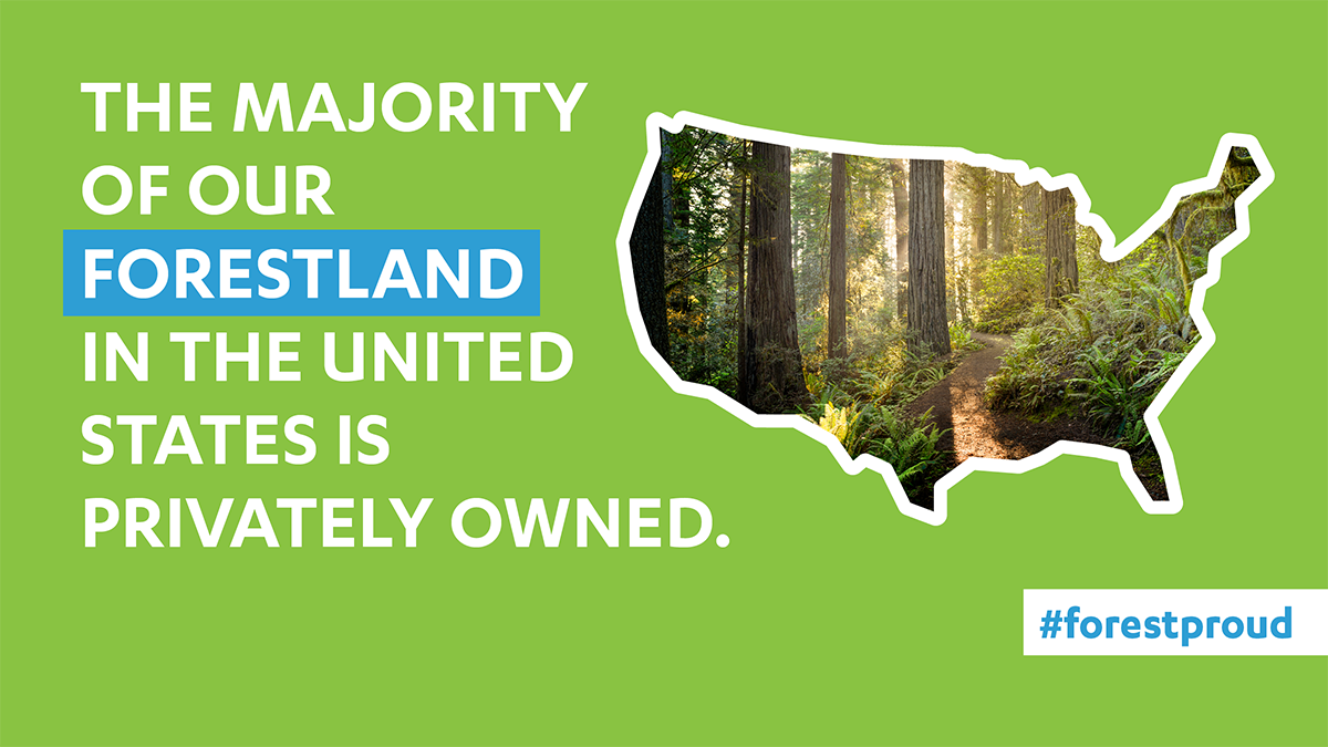 The majority of our forestland in the United States is privately owned.