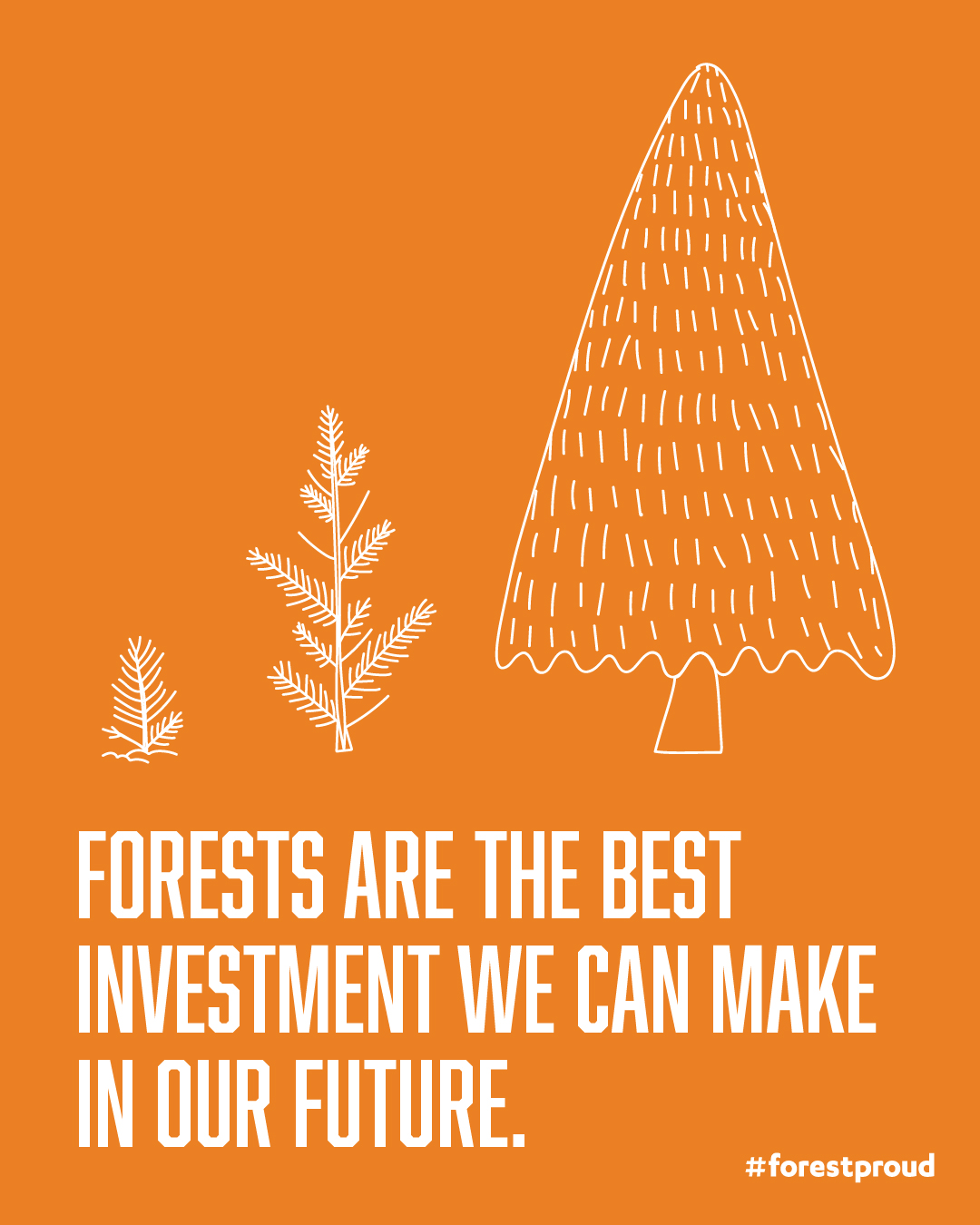Forests are the best investment we can make (2 types of trees!)