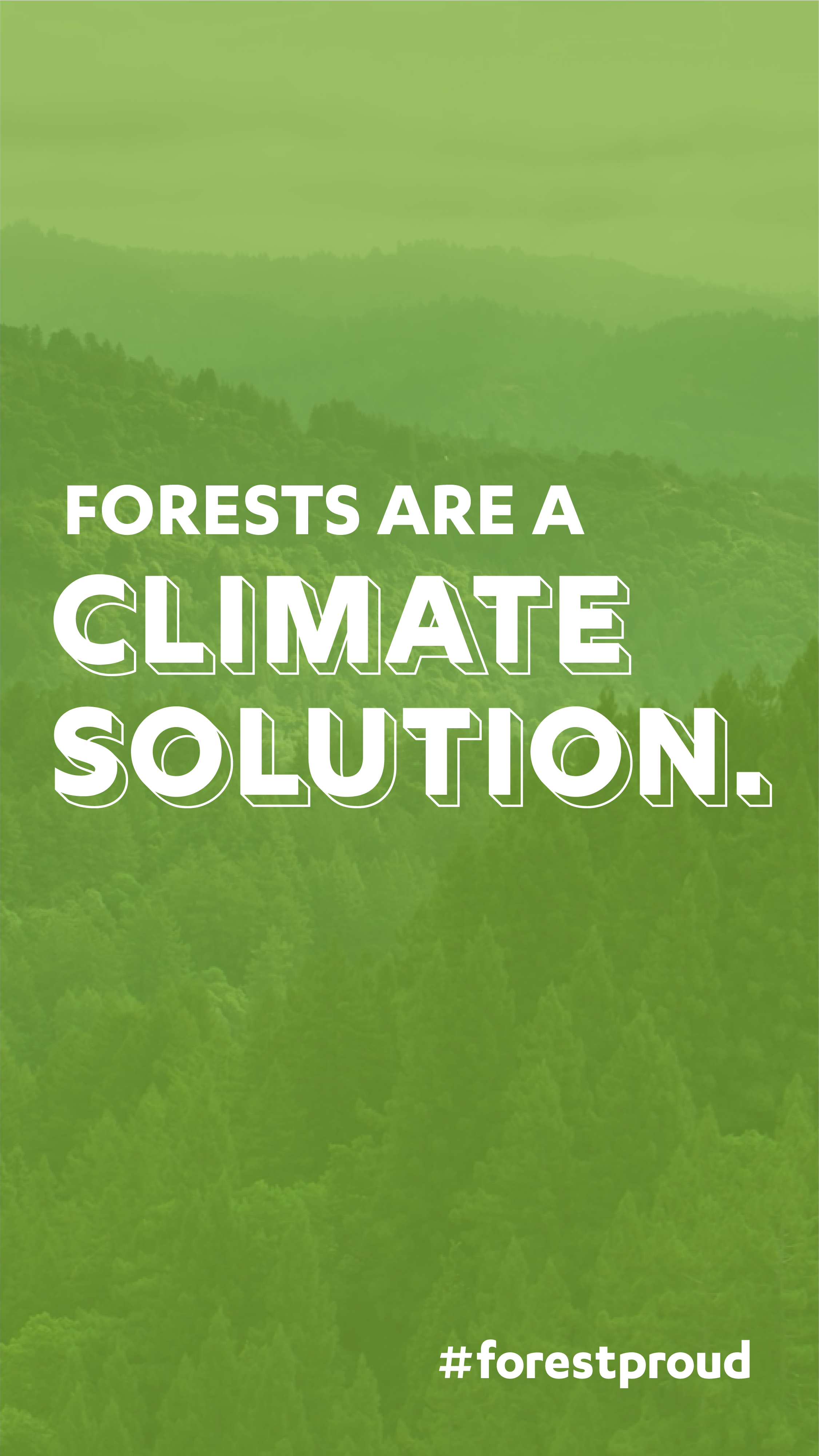Forests are a climate solution