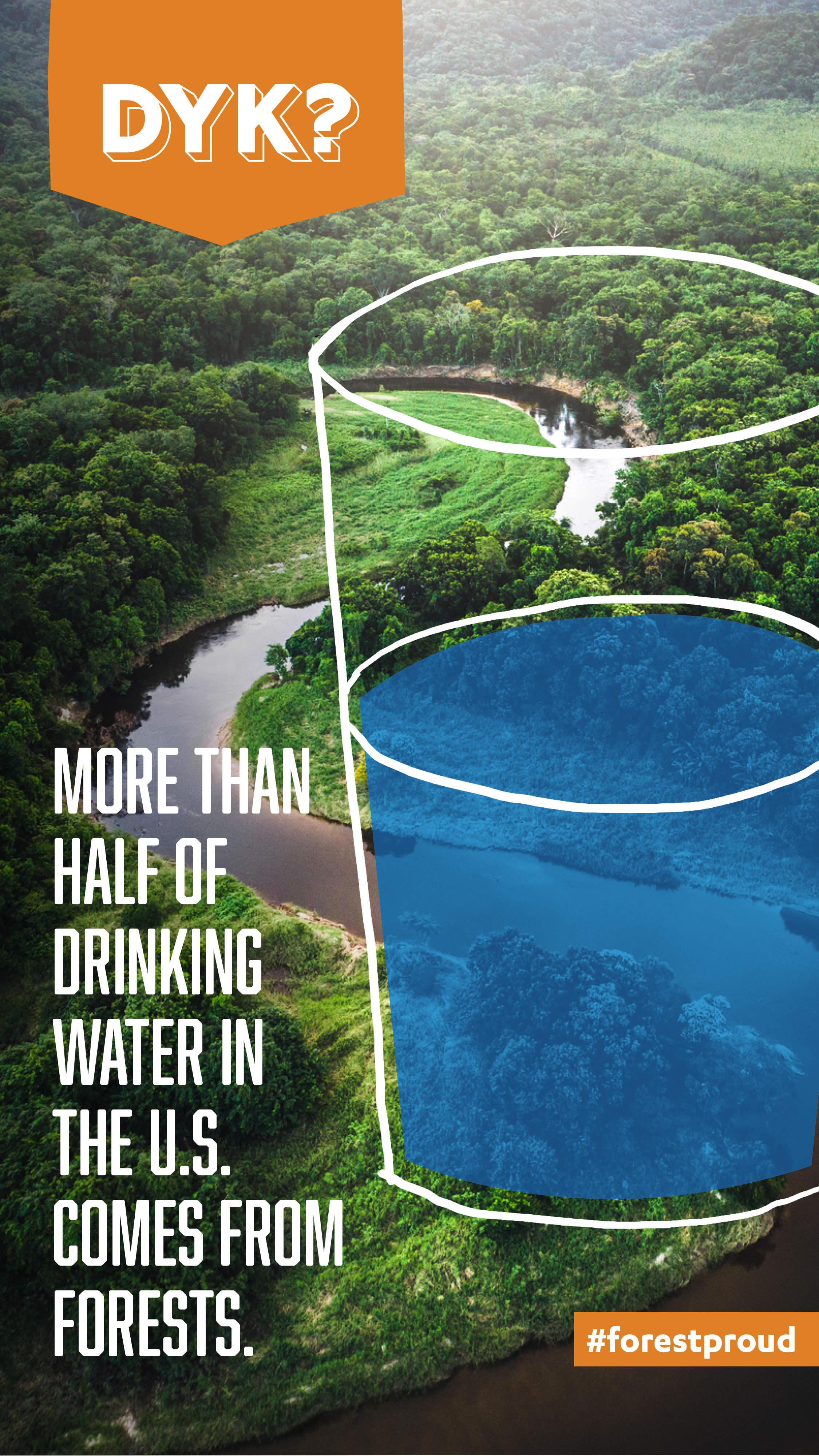 Drinking Water & Forests
