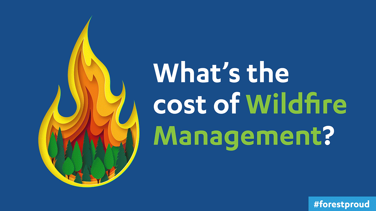 Cost of Wildfire Management