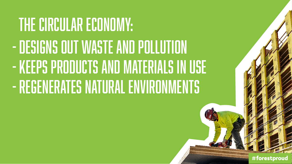 What does the Circular Economy Do?