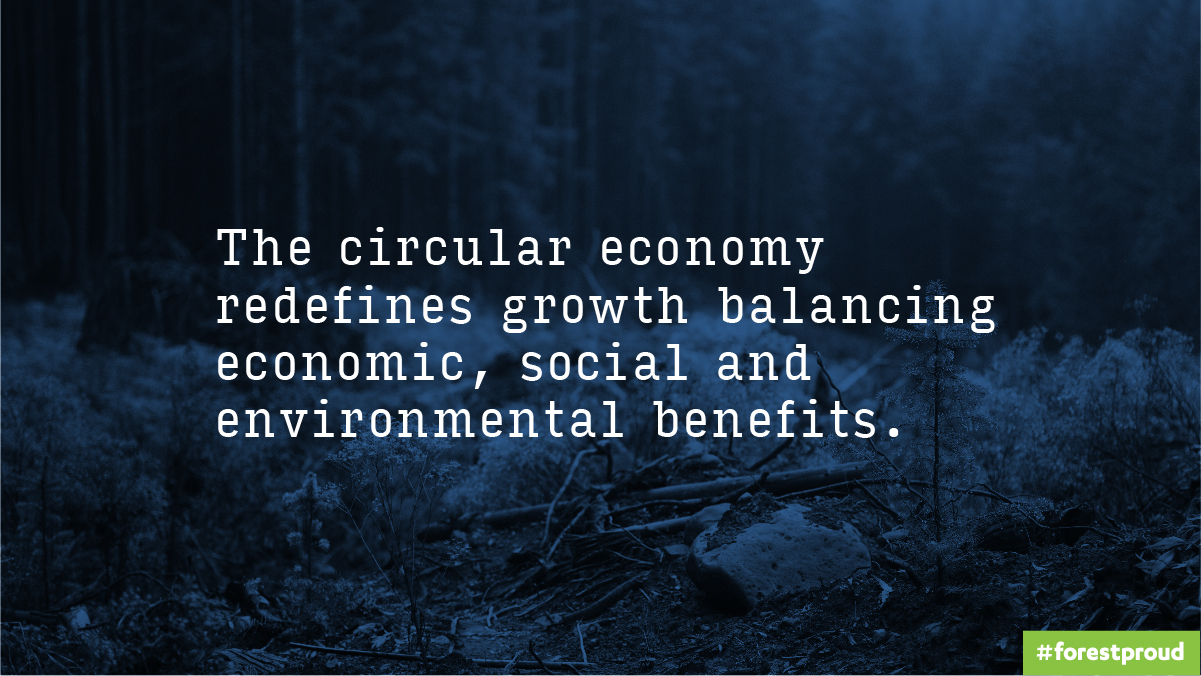Circular Economy | definition