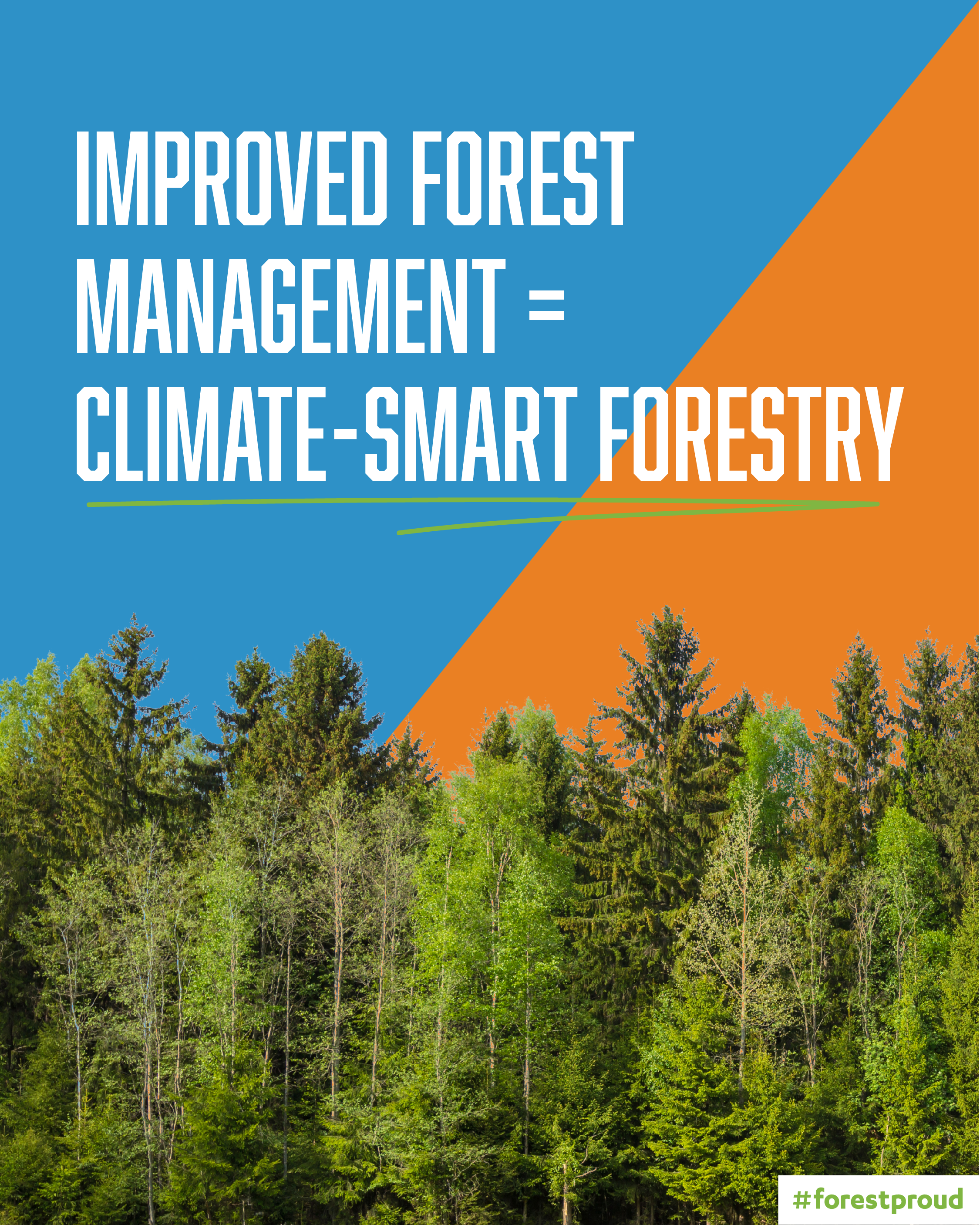 What is Climate Smart Forestry?