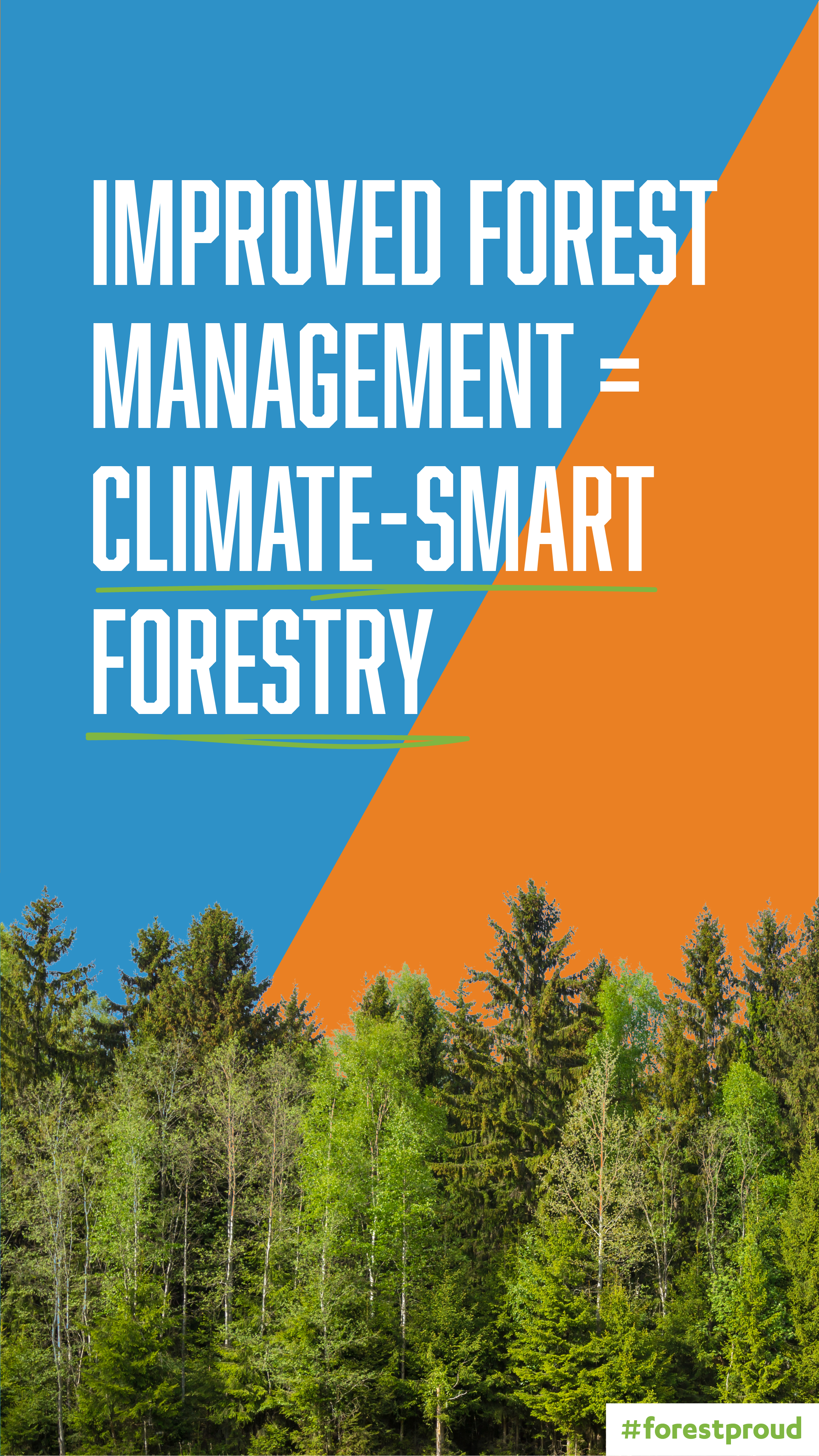 What is Climate Smart Forestry?