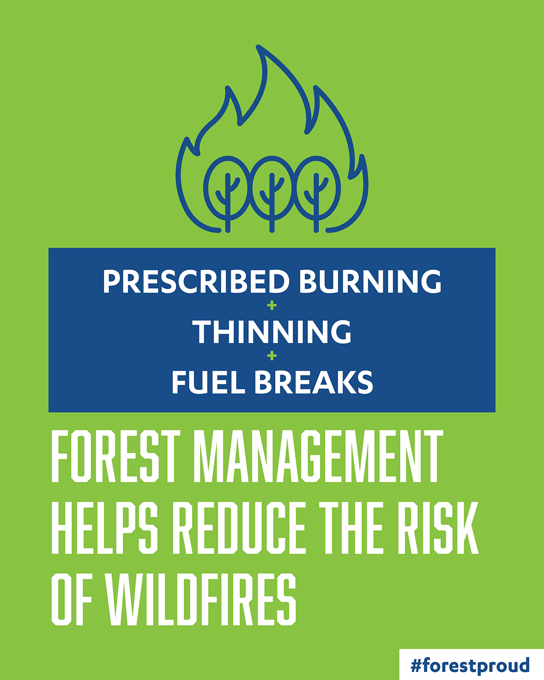 Forest Management + Fire