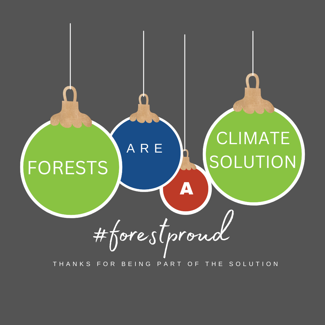 #forestproud holiday card