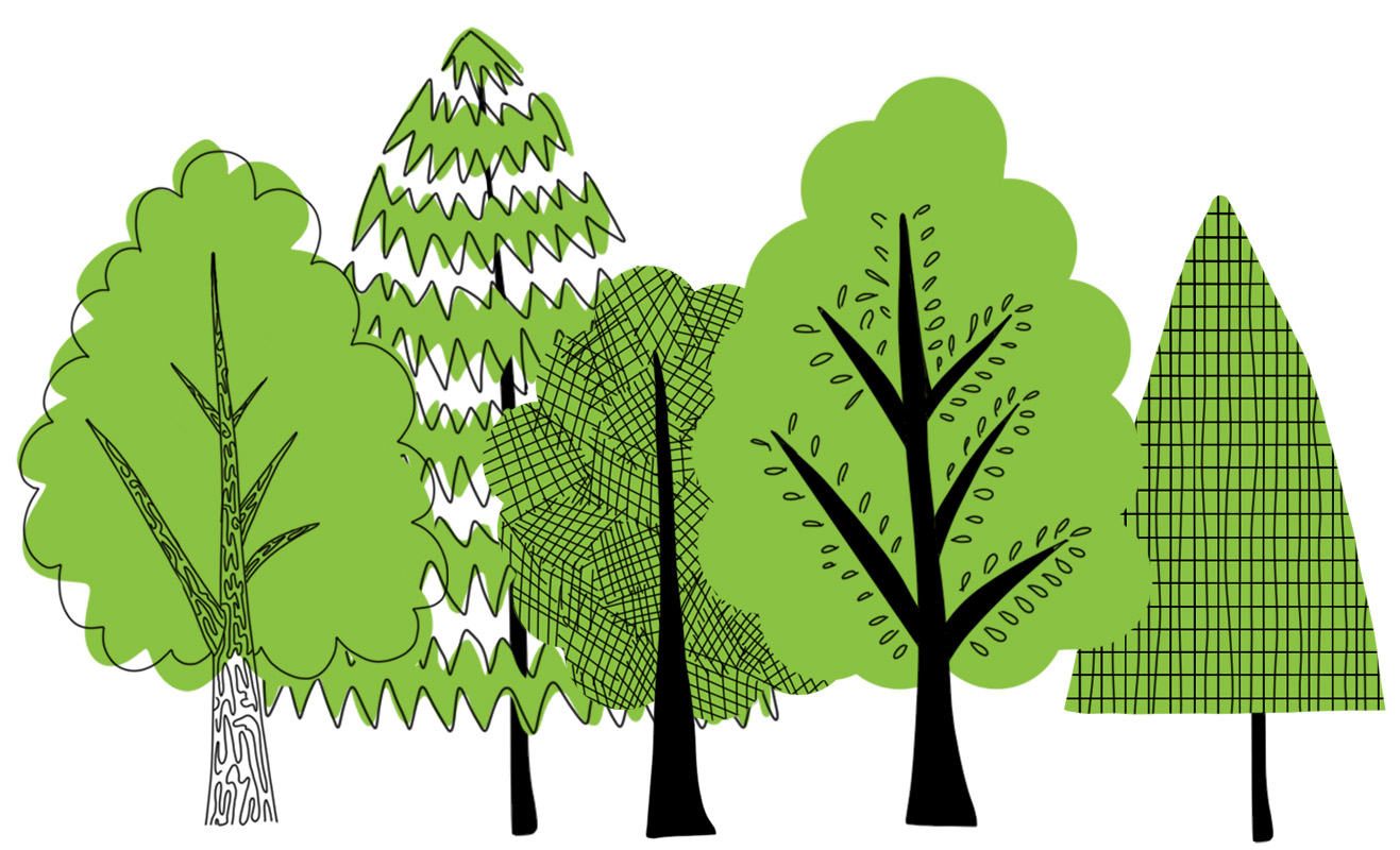 an illustration of trees