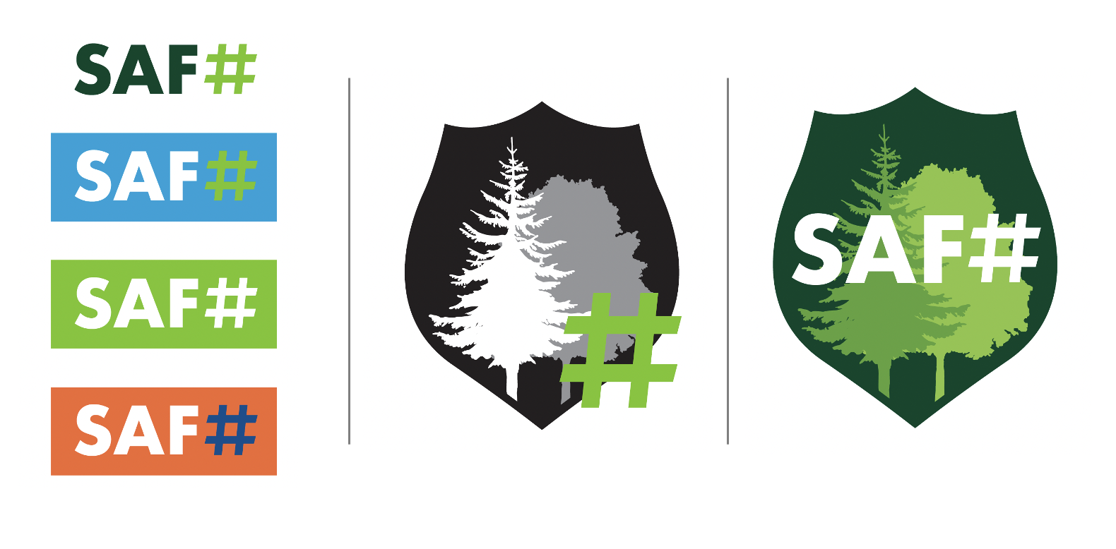 SAF FP social logos combined 2024