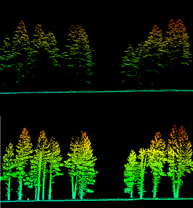 a LiDAR point cloud representation of a forest. The two side-by-side views show tree canopies and trunks in vibrant colors ranging from red and yellow at the top (indicating higher points or denser vegetation) to green and blue lower down (representing the ground or shorter vegetation). The image provides a digital visualization of tree height, structure, and density, commonly used in environmental studies, forestry management, and land surveying to analyze forest health and canopy characteristics.