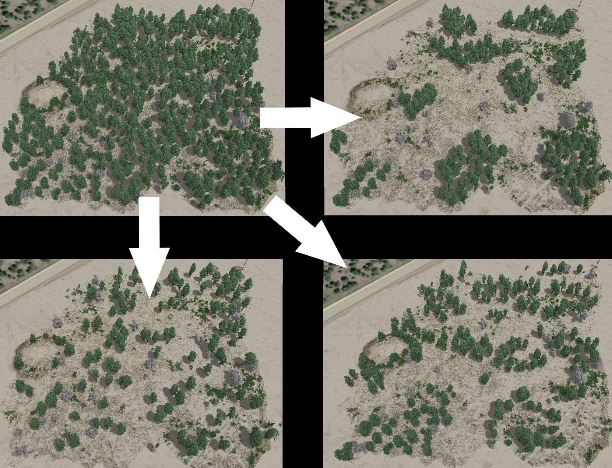 a series of four aerial renderings of the same forested area at different stages, connected by white arrows indicating progression. The upper-left quadrant displays a dense forest, while subsequent images show a gradual reduction in tree density. By the final stage (bottom-right), the area contains sparse tree clusters with much of the vegetation removed, leaving more open ground. This visual sequence likely represents the simulation of forest thinning or land clearing processes, illustrating changes in vegetation over time.