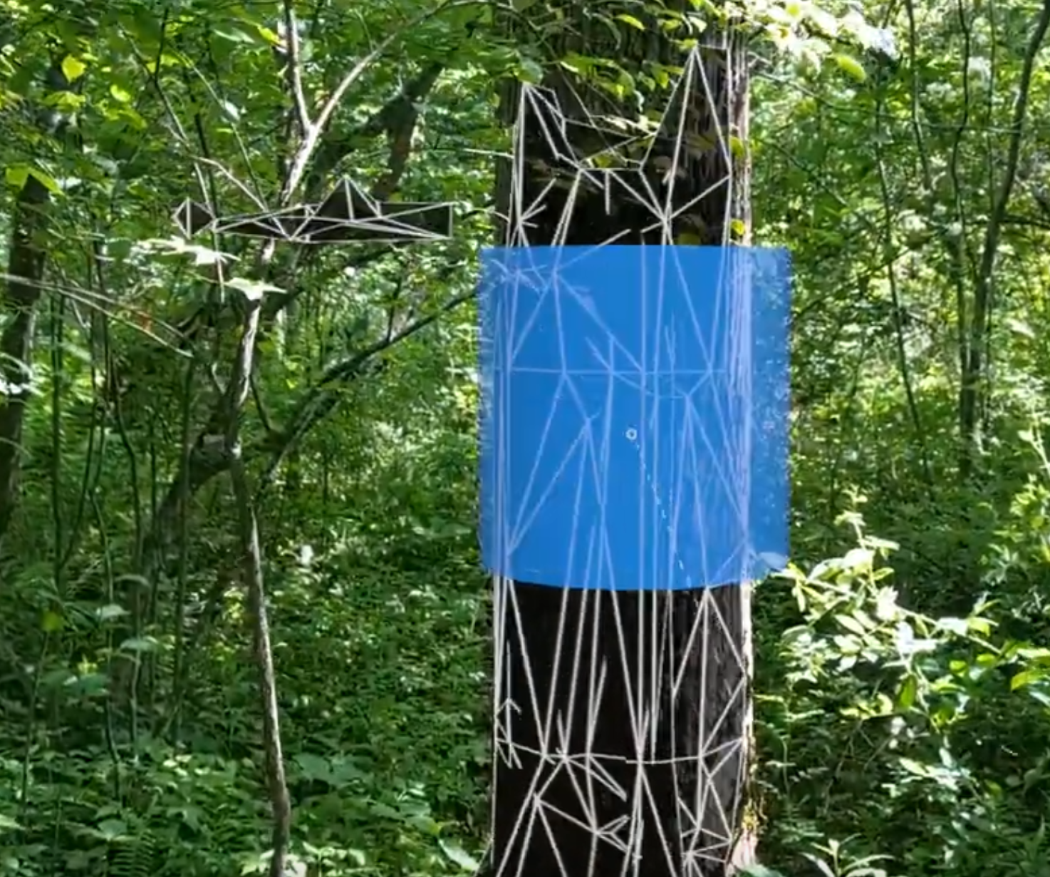 A forest scene with augmented reality (AR) elements overlaying a tree. The AR display shows white wireframe structures mapping parts of the tree's trunk and branches, with a blue transparent panel highlighting a specific area of the tree. Dense green foliage surrounds the tree, indicating a natural forest environment. The AR visualization appears to be used for analyzing the tree’s structure or for forestry-related data collection.