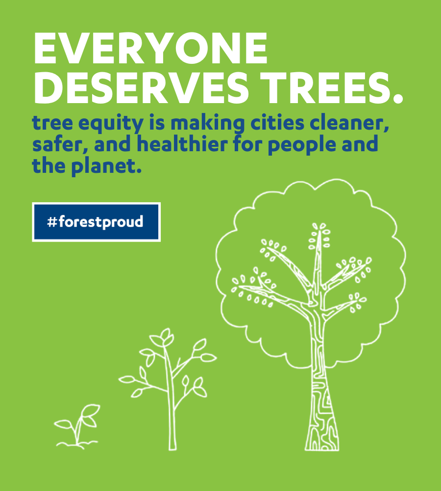 Everyone deserves trees