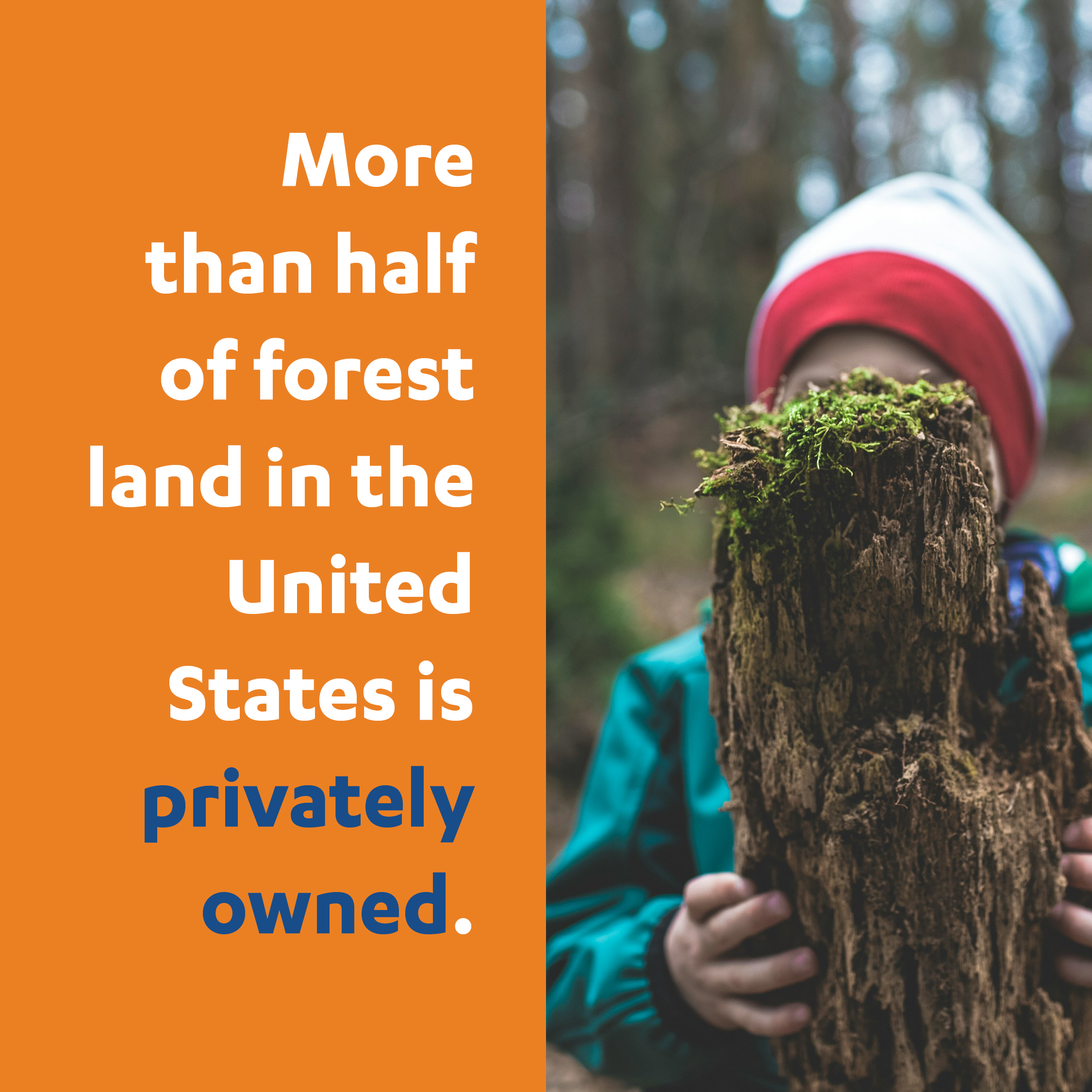 Private Forests, Public Good