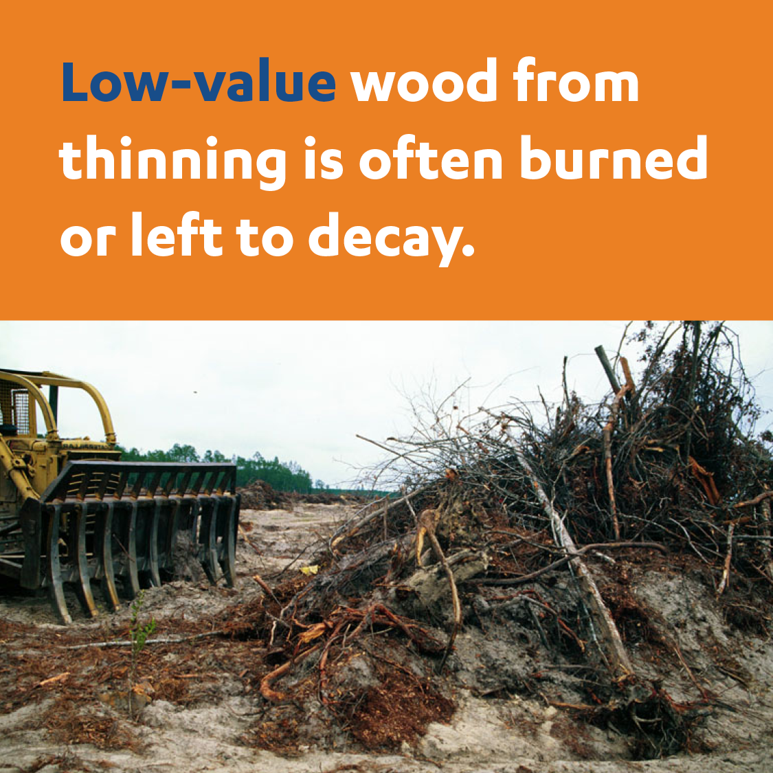 Why Biochar Matters