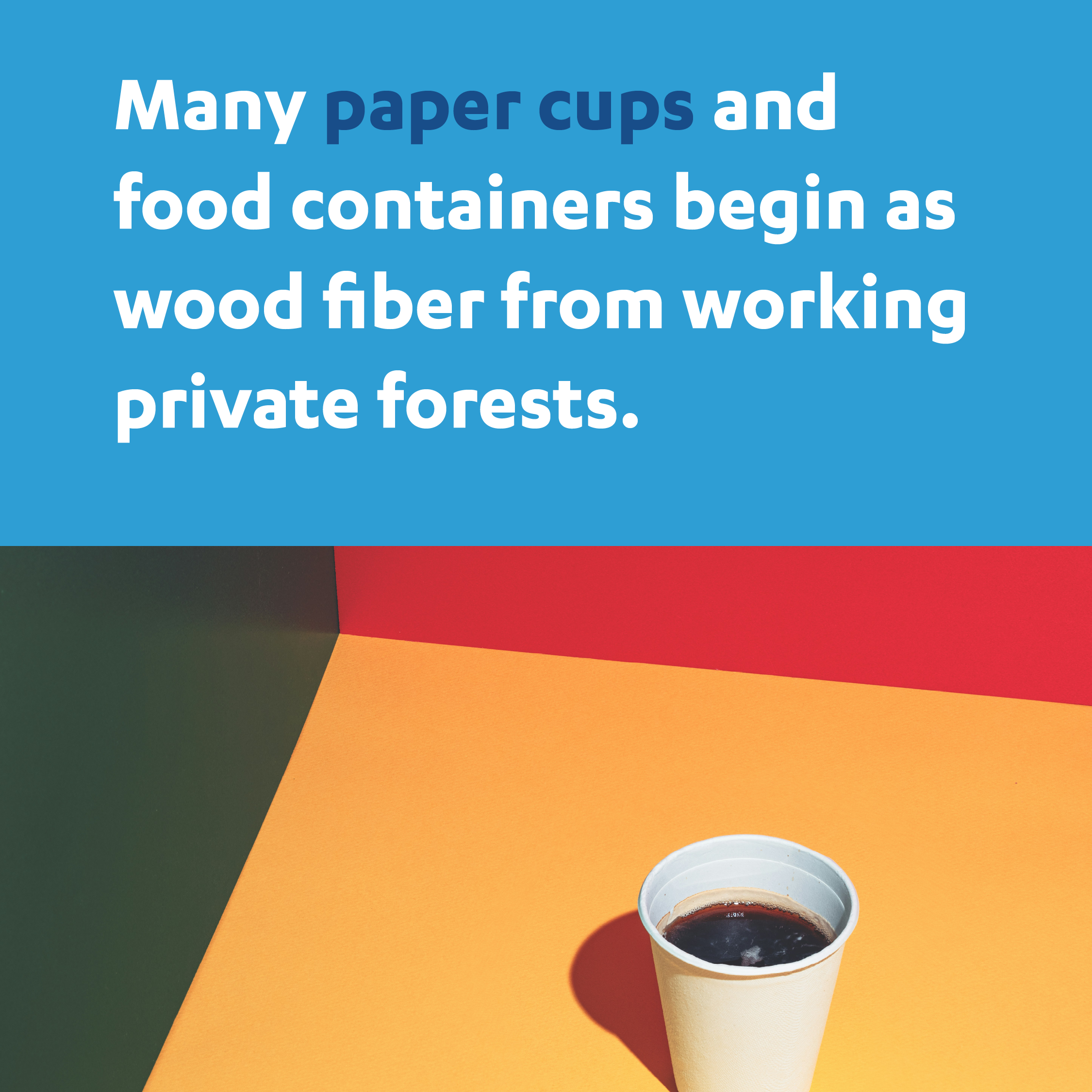 Private Forests Fuel Everyday Life