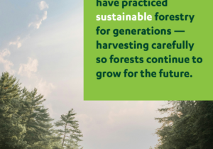 2d_first stewards infographics9