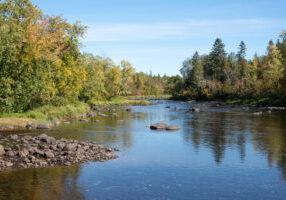 Cloquet River, Helwig Creek inlet