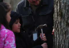 Syrup_Tapping_Kids_1