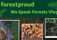 We Speak Forests Vlog (4)
